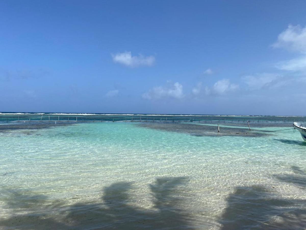 Hotel Blue Reef Frente Al Mar Mahahual Exterior foto